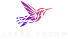Arise Point